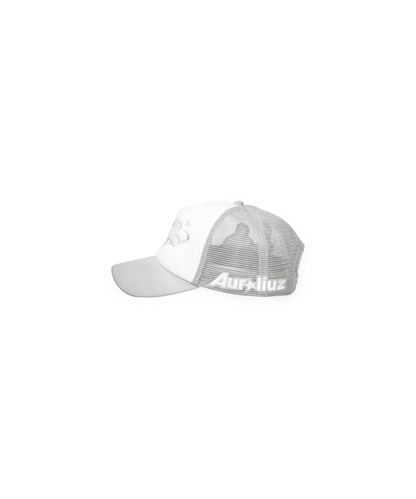 Frosted Grey Trucker Cap